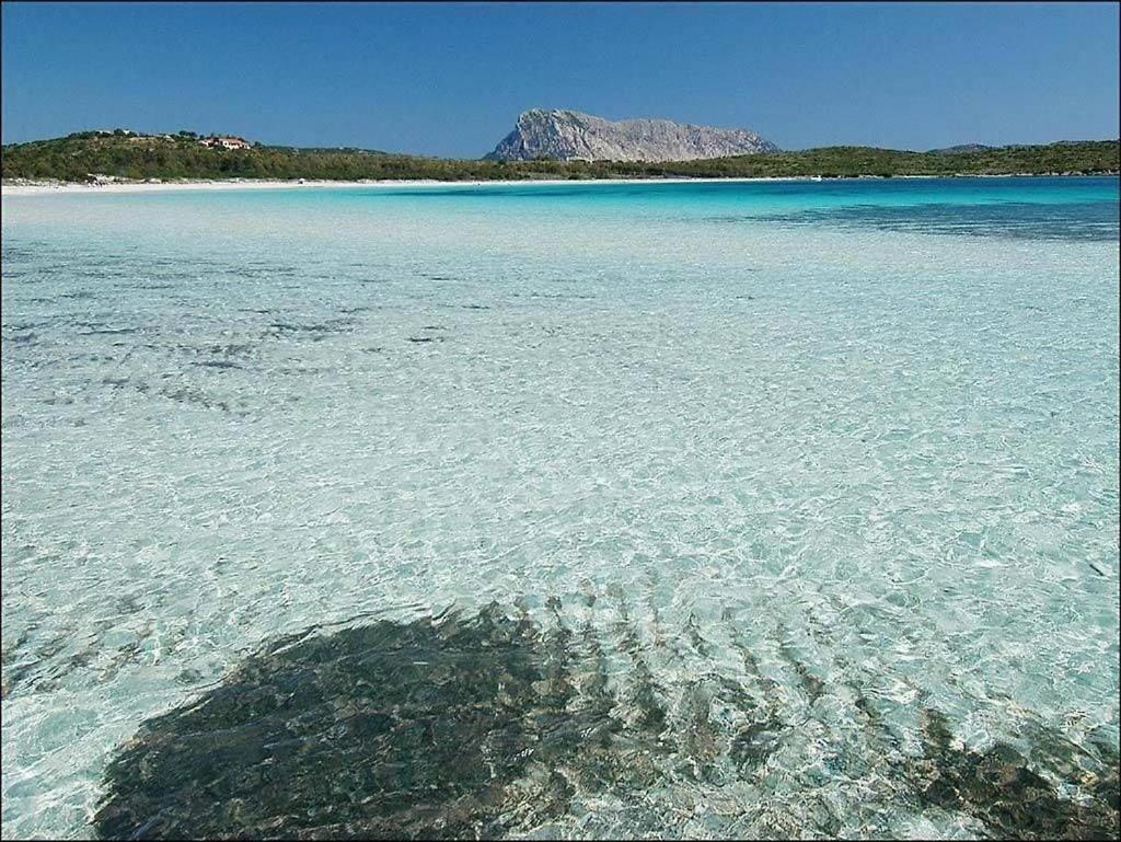 La Janna Di Li Janti Deliziosa Oasi Di Pace Con Piscina Puntaldia Villa Exterior photo