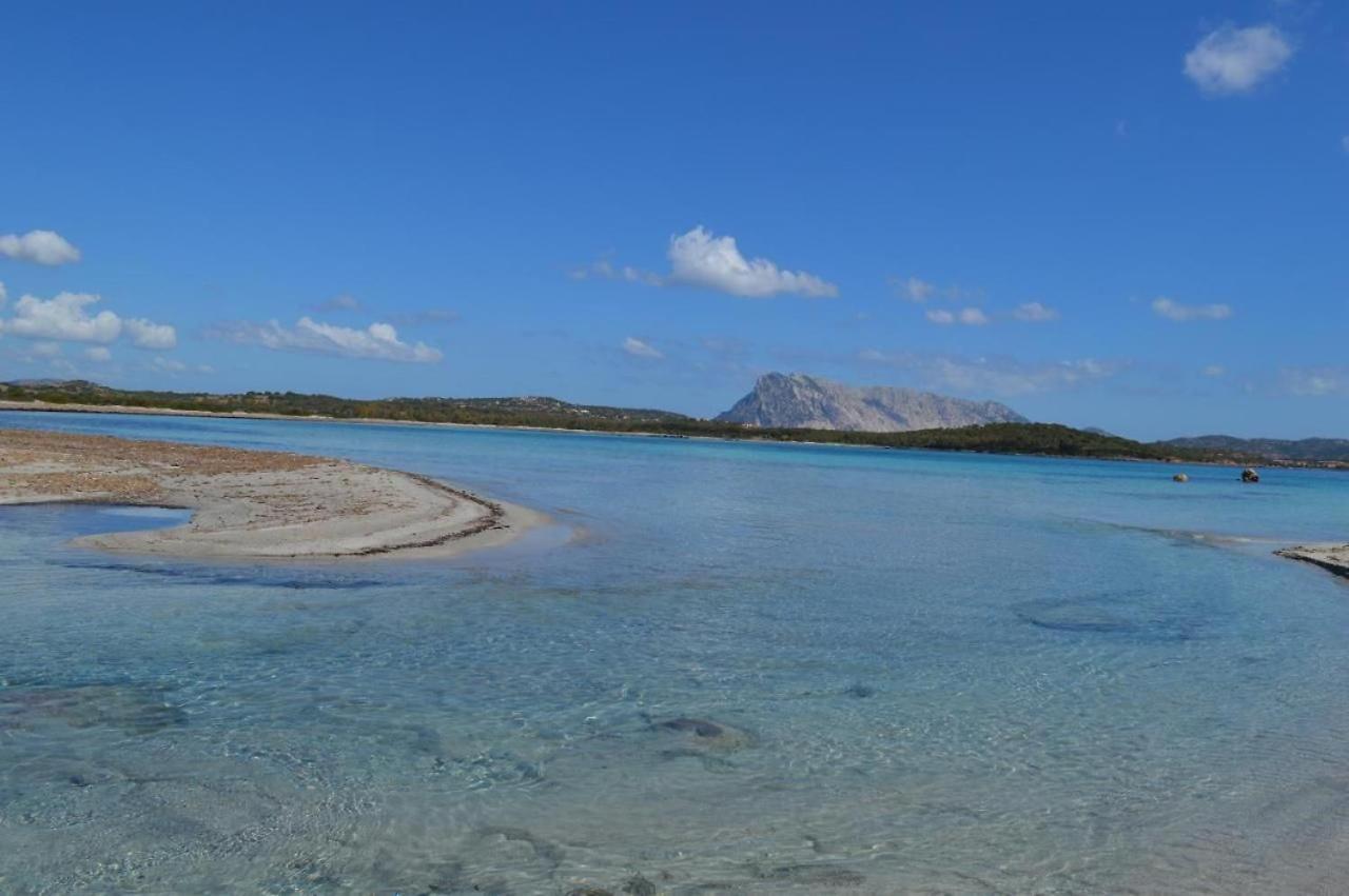 La Janna Di Li Janti Deliziosa Oasi Di Pace Con Piscina Puntaldia Villa Exterior photo